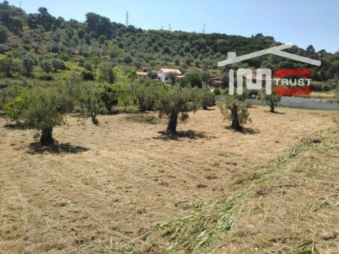 Terreno Misto para Venda em Nossa Senhora da Piedade Foto 1