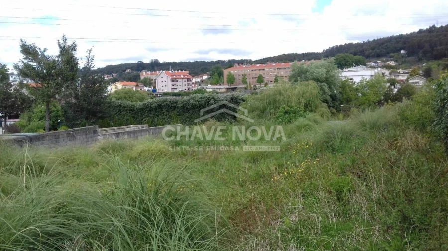 Terreno para Venda em Canelas Foto 5
