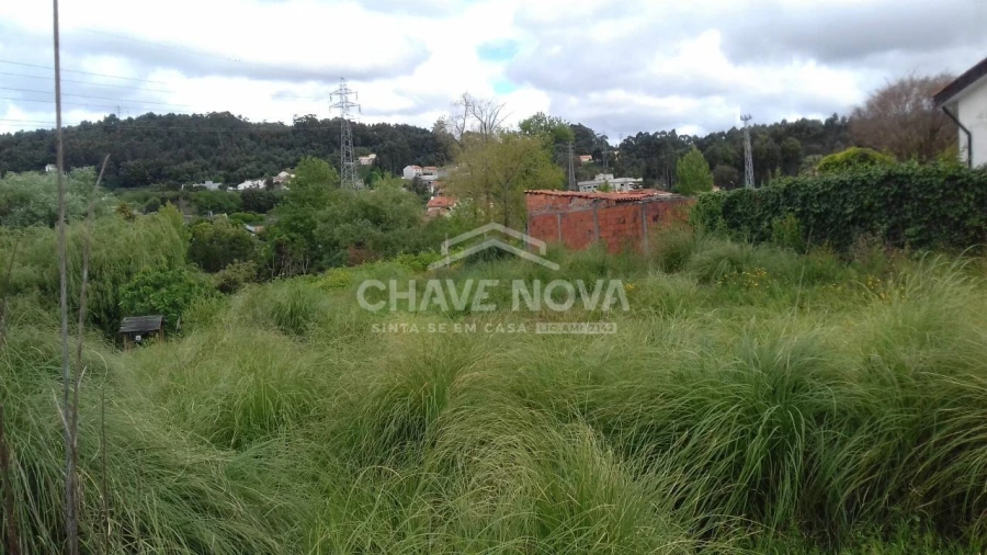 Terreno para Venda em Canelas Foto 7