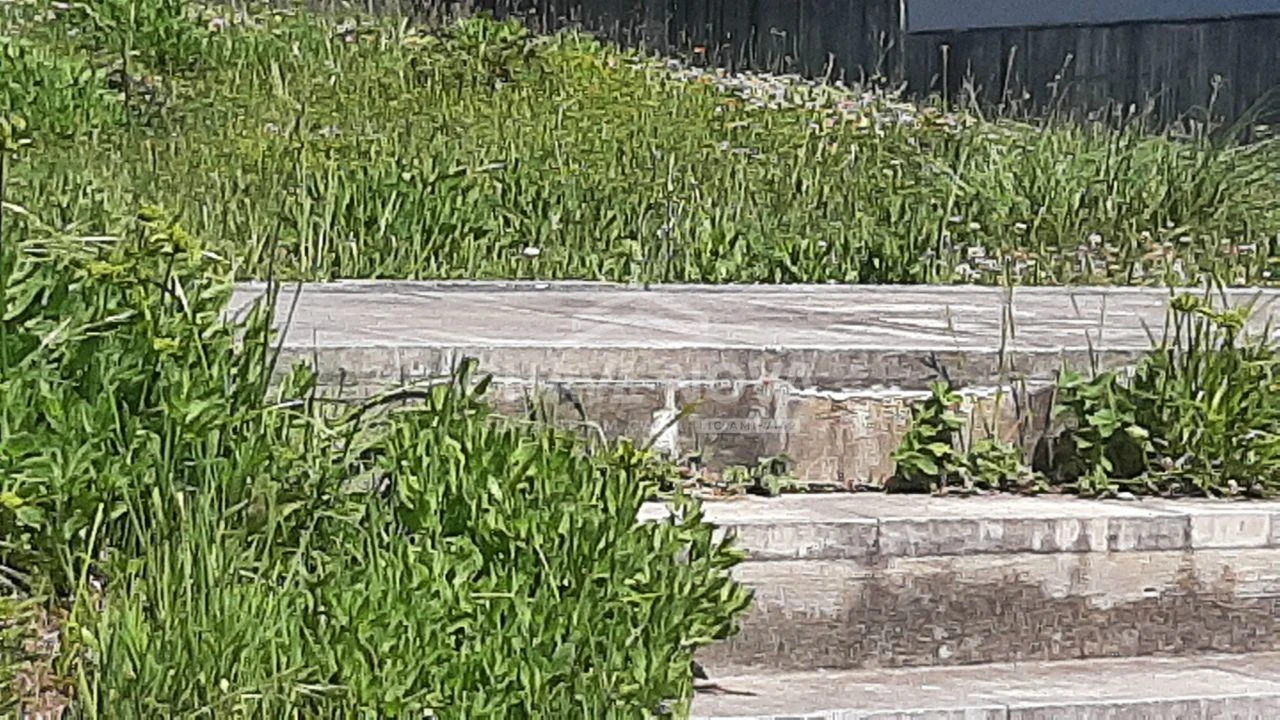 Terreno para Venda em Custóias, Leça do Balio e Guifões Foto 12