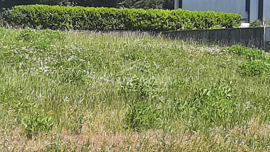 Terreno para Venda em Custóias, Leça do Balio e Guifões Foto 10