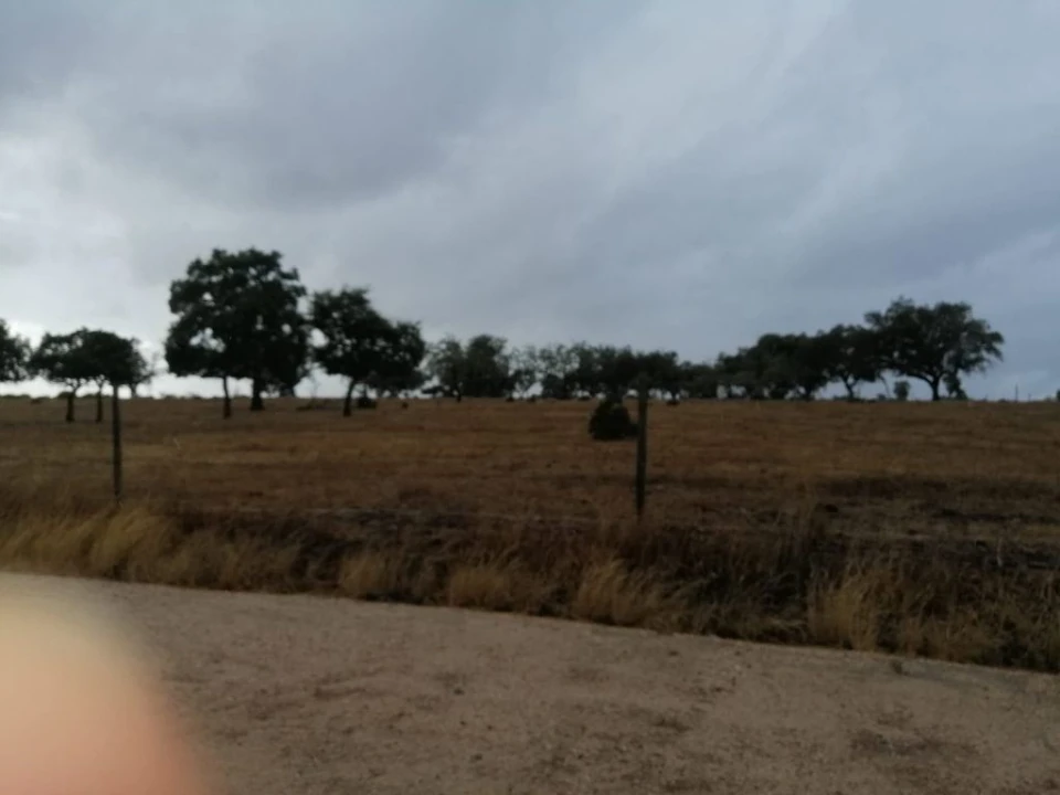Terreno Agricola ou Rústico para Venda em Crato e Mártires, Flor da Rosa e Vale do Peso Foto 4