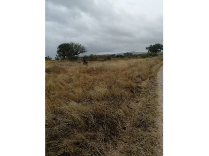 Terreno Agricola ou Rústico para Venda em Crato e Mártires, Flor da Rosa e Vale do Peso Foto 3