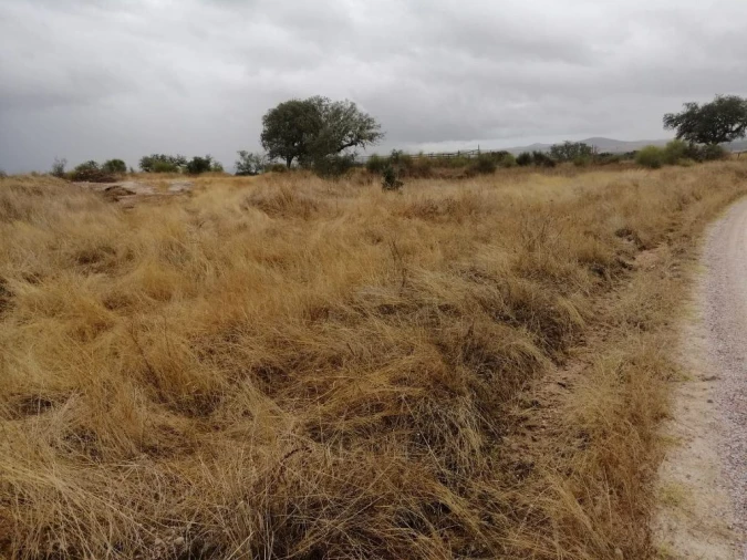 Terreno Agricola ou Rústico para Venda em Crato e Mártires, Flor da Rosa e Vale do Peso Foto 6