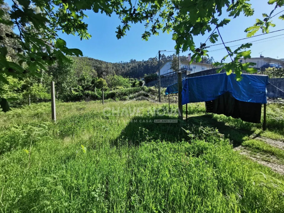 Terreno P/ Prédio para Venda em Arouca e Burgo Foto 8