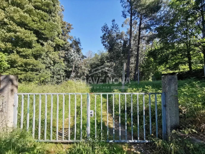 Terreno P/ Prédio para Venda em Arouca e Burgo Foto 4