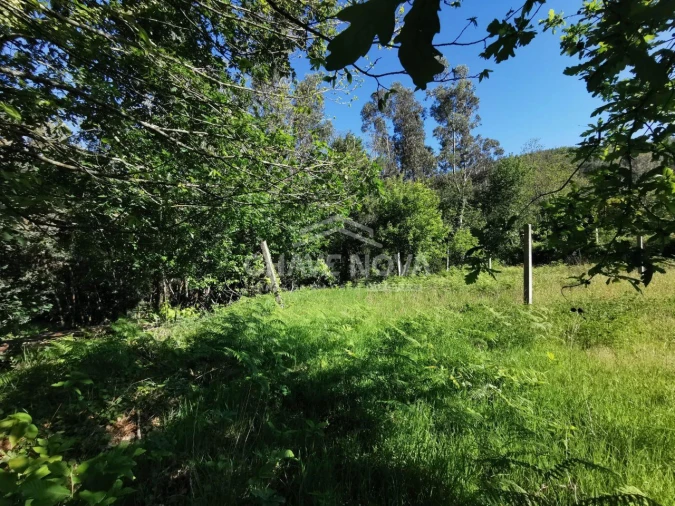 Terreno P/ Prédio para Venda em Arouca e Burgo Foto 7