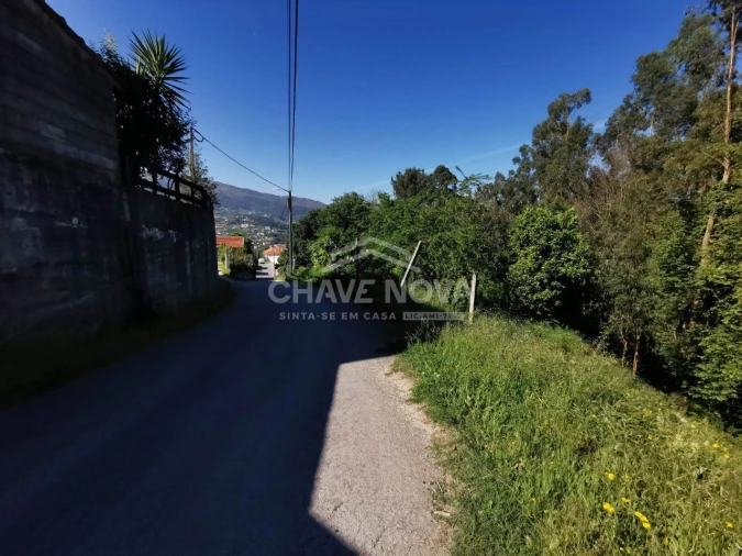 Terreno P/ Prédio para Venda em Arouca e Burgo Foto 10