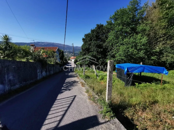 Terreno P/ Prédio para Venda em Arouca e Burgo Foto 14
