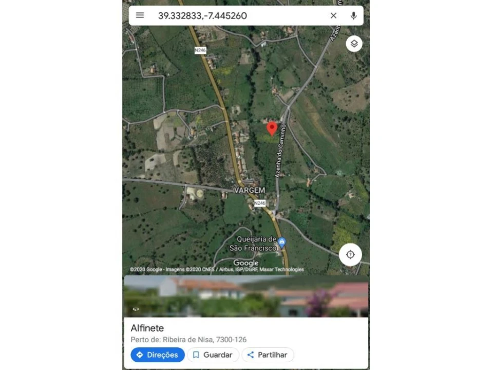 Terreno Agricola ou Rústico para Venda em Ribeira de Nisa e Carreiras Foto 3