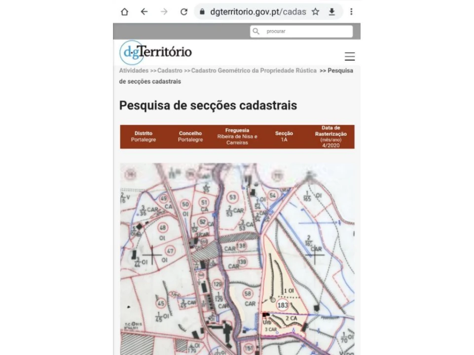 Terreno Agricola ou Rústico para Venda em Ribeira de Nisa e Carreiras Foto 5