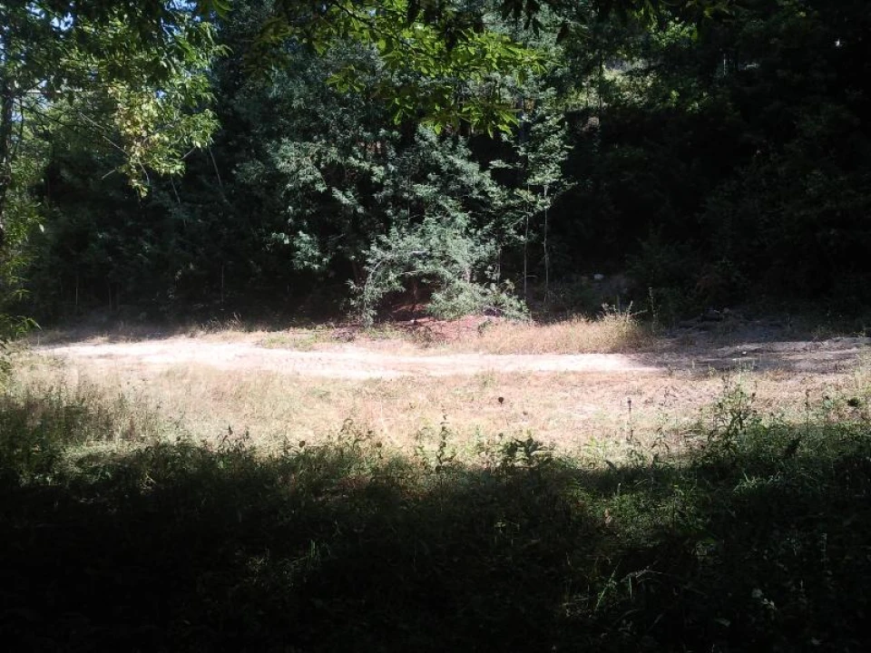 Terreno Misto para Venda em Louredo Foto 2