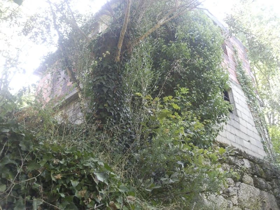 Terreno Misto para Venda em Louredo Foto 9