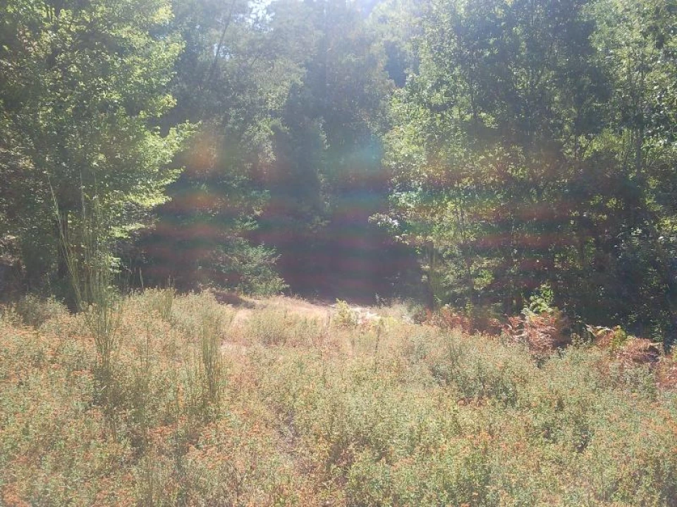 Terreno Misto para Venda em Louredo Foto 13