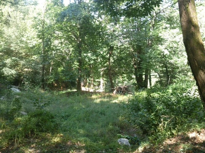 Terreno Misto para Venda em Louredo Foto 3