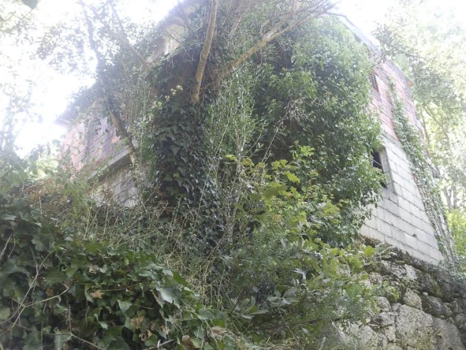 Terreno Misto para Venda em Louredo Foto 9