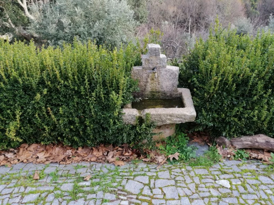 Quinta T3 para Venda em Santo Antonio das Areias Foto 23