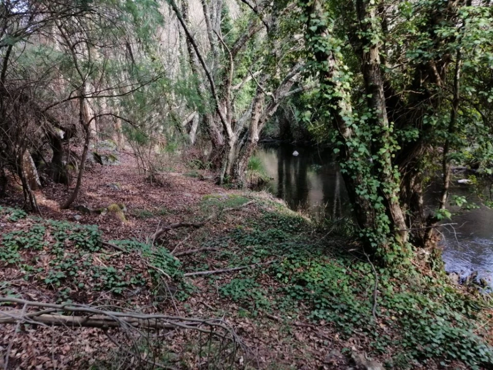 Quinta T3 para Venda em Santo Antonio das Areias Foto 29