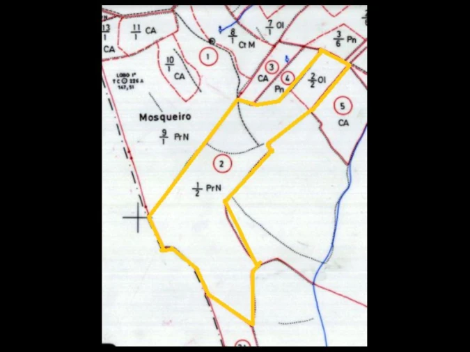 Terreno Agricola ou Rústico para Venda em São Salvador da Aramenha Foto 8