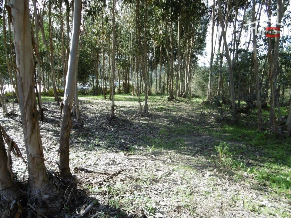 Terreno para Venda em Nossa Senhora da Piedade Foto 1
