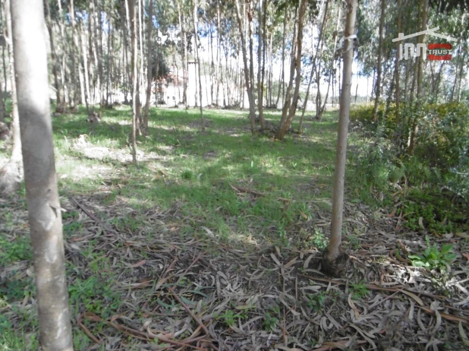 Terreno para Venda em Nossa Senhora da Piedade Foto 4