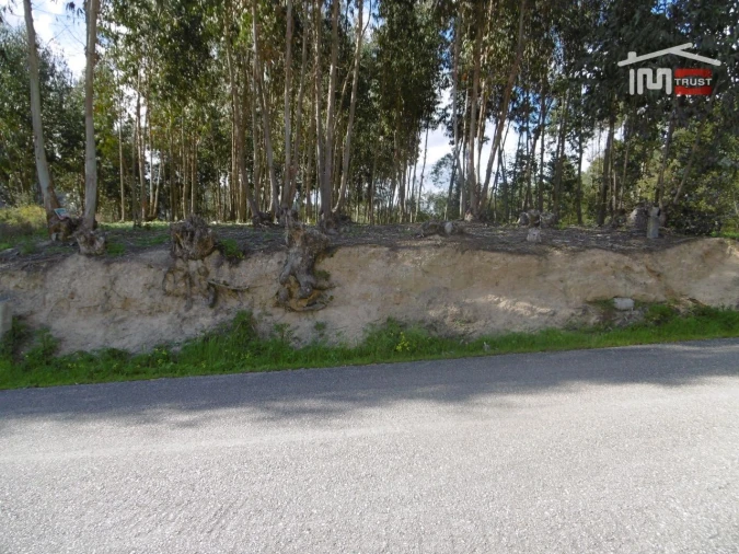 Terreno para Venda em Nossa Senhora da Piedade Foto 6