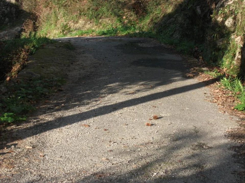 Terreno para Venda em Ventosa e Cova Foto 4