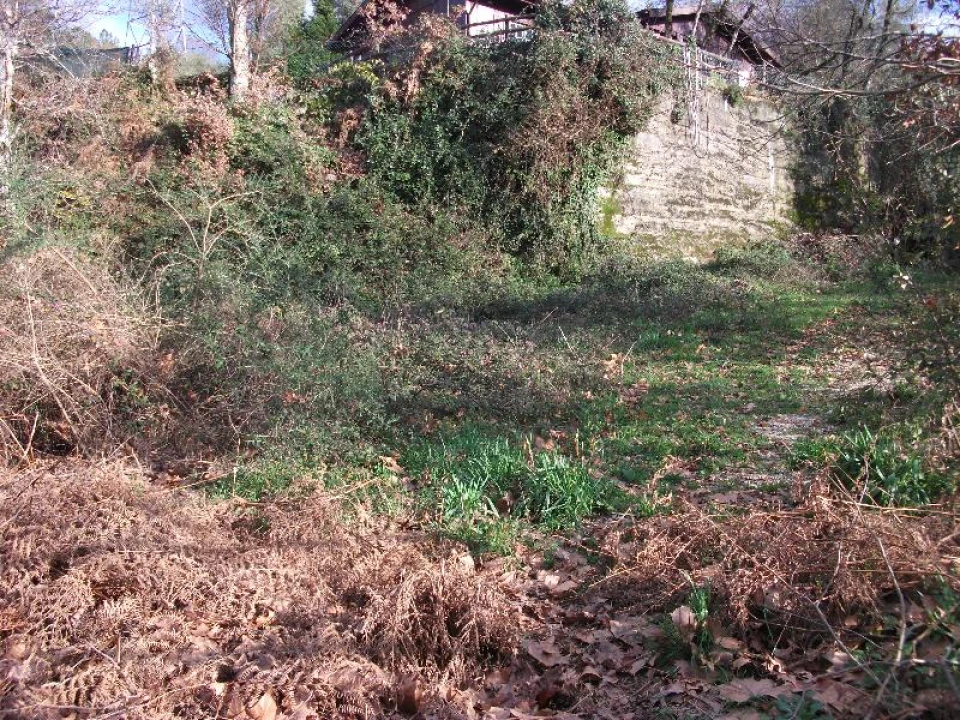 Terreno para Venda em Ventosa e Cova Foto 8