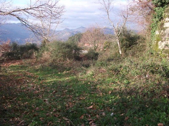 Terreno para Venda em Ventosa e Cova Foto 3