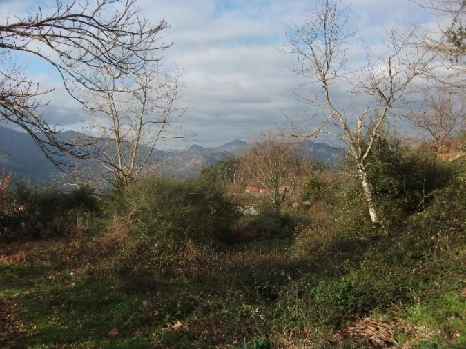 Terreno para Venda em Ventosa e Cova Foto 6