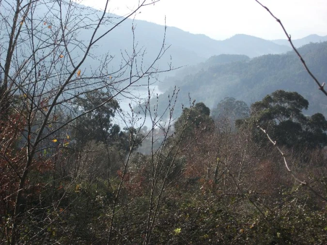 Terreno para Venda em Ventosa e Cova Foto 1