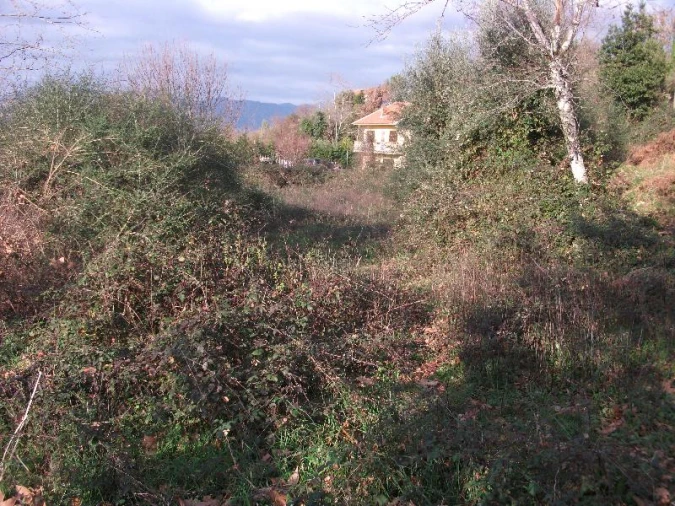 Terreno para Venda em Ventosa e Cova Foto 7