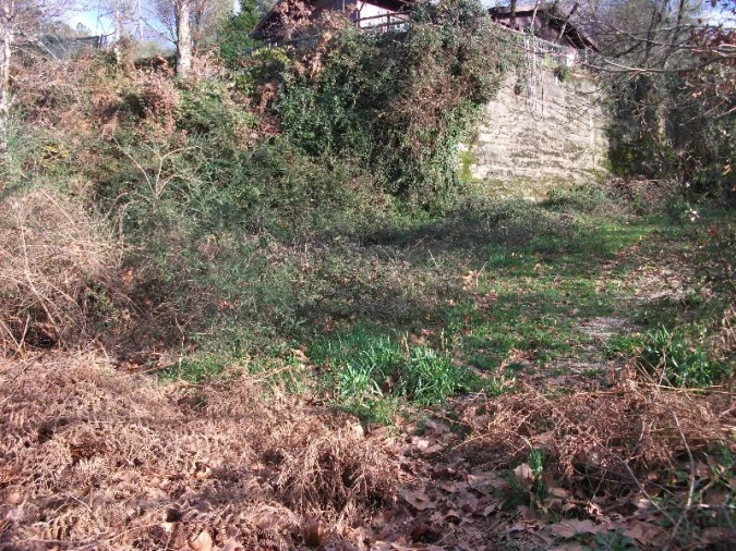 Terreno para Venda em Ventosa e Cova Foto 8
