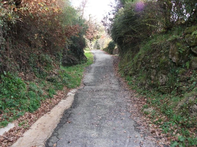 Terreno para Venda em Ventosa e Cova Foto 2