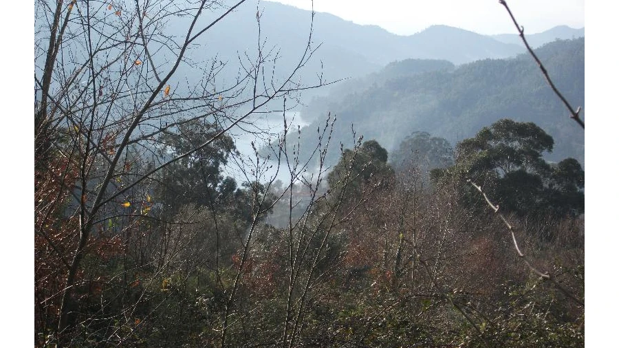 Terreno para Venda em Ventosa e Cova