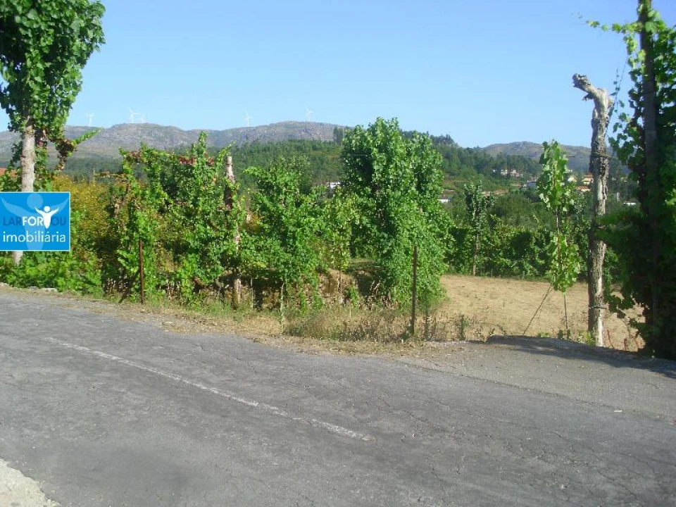 Terreno Agricola ou Rústico para Venda em Caniçada e Soengas Foto 3