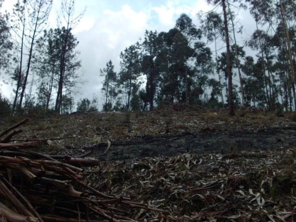 Terreno para Venda em Anissó e Soutelo Foto 7