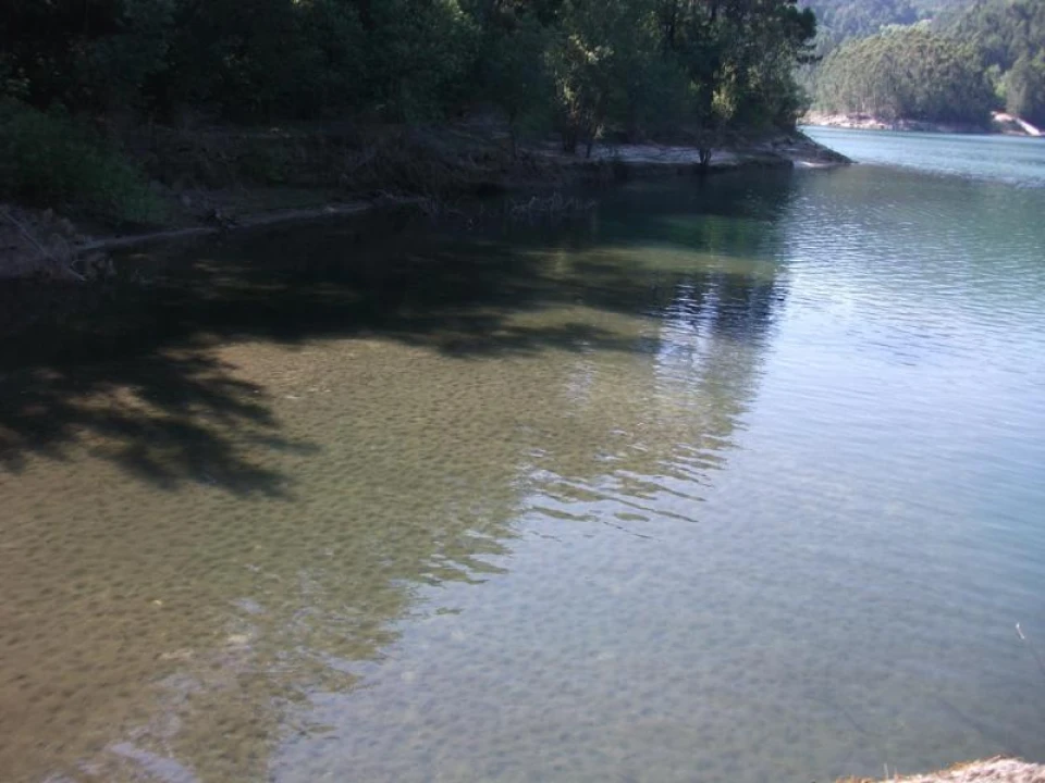 Terreno para Venda em Parada do Bouro Foto 1