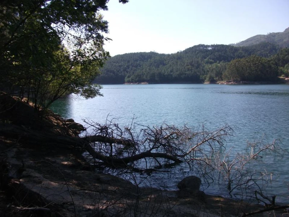 Terreno para Venda em Parada do Bouro Foto 2