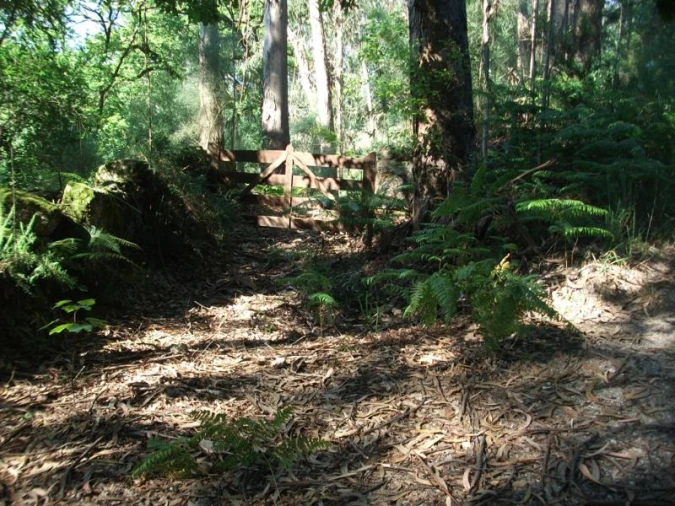 Terreno para Venda em Parada do Bouro Foto 8