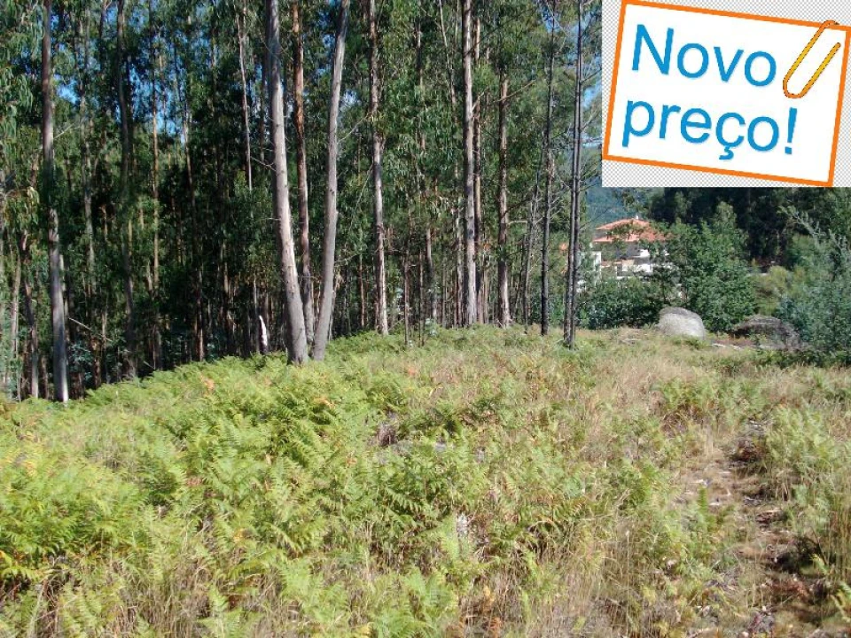 Terreno para Venda em Mosteiro Foto 1