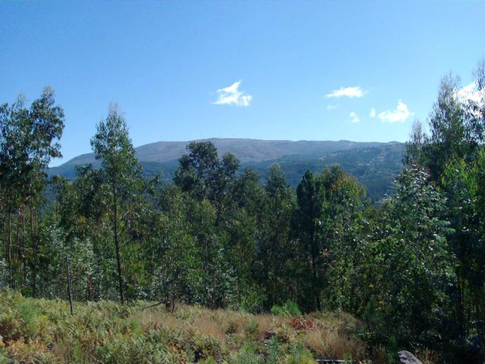 Terreno para Venda em Mosteiro Foto 8