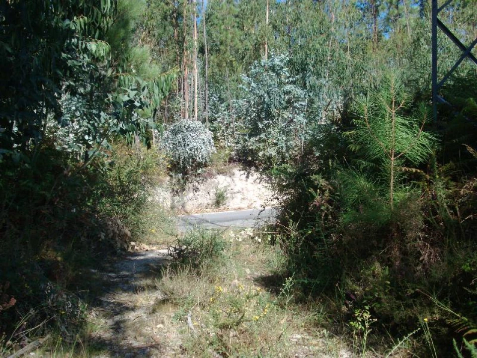 Terreno para Venda em Mosteiro Foto 13