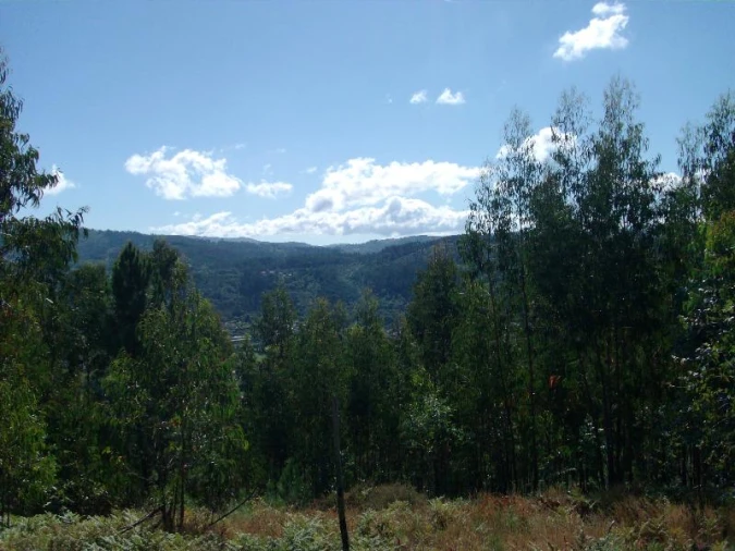 Terreno para Venda em Mosteiro Foto 7