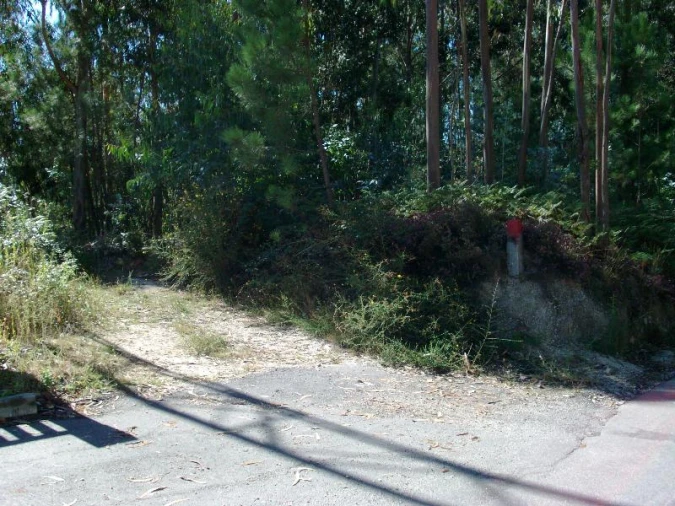 Terreno para Venda em Mosteiro Foto 12