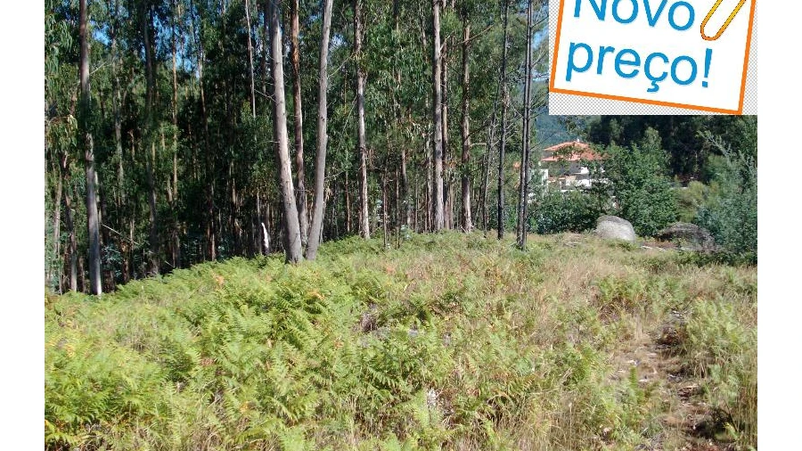 Terreno para Venda em Mosteiro