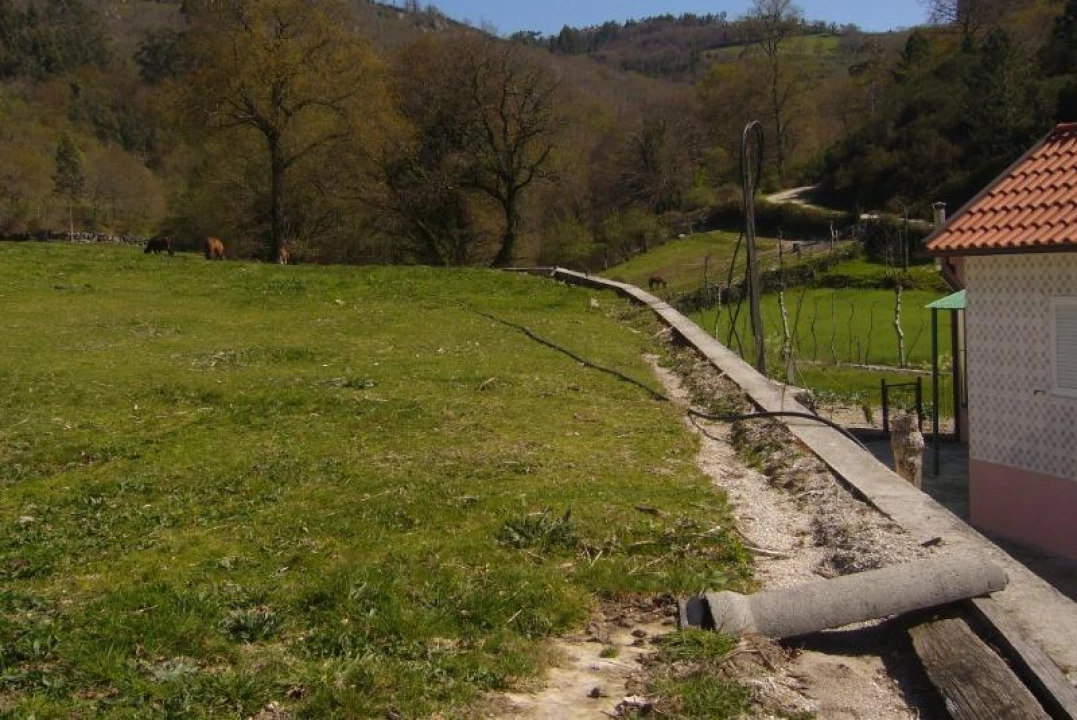 Terreno Agricola ou Rústico para Venda em Cantelães Foto 9