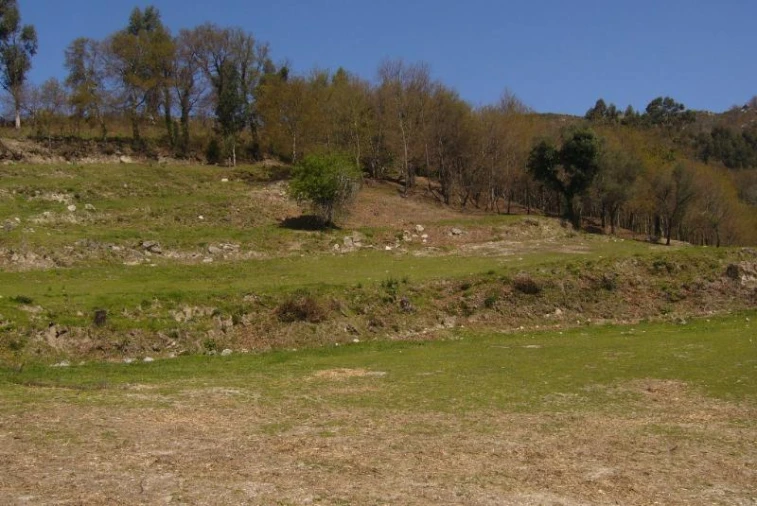 Terreno Agricola ou Rústico para Venda em Cantelães Foto 1