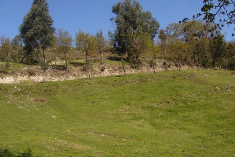 Terreno Agricola ou Rústico para Venda em Cantelães Foto 15