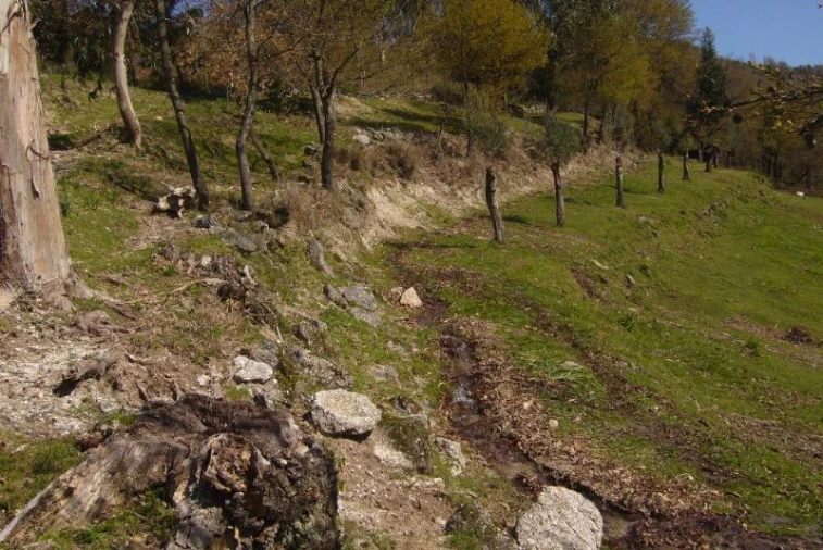 Terreno Agricola ou Rústico para Venda em Cantelães Foto 18